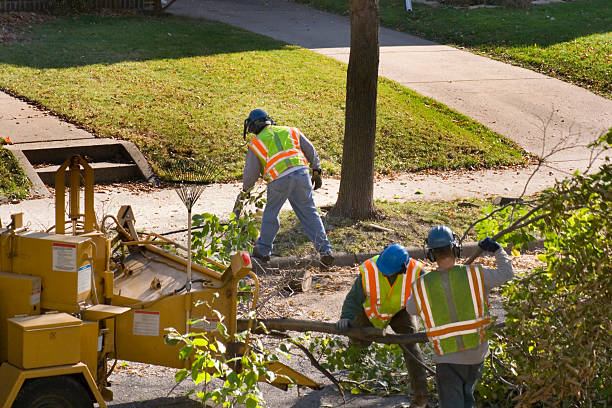 Best Tree Health Inspection  in Lisbon, ME